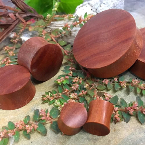 Sawo Wood Concave/Convex Plugs