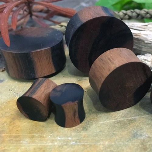 Zebra Wood Concave/Convex Plugs